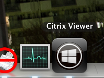 CitrixViewerアイコン